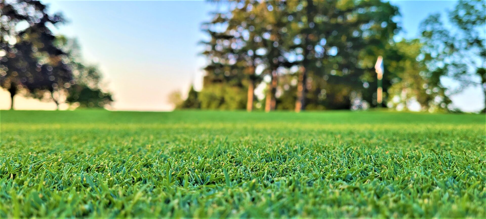 Jobs Livingston Country Club Geneseo, NY