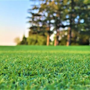 Superintendent Facilities Renovations