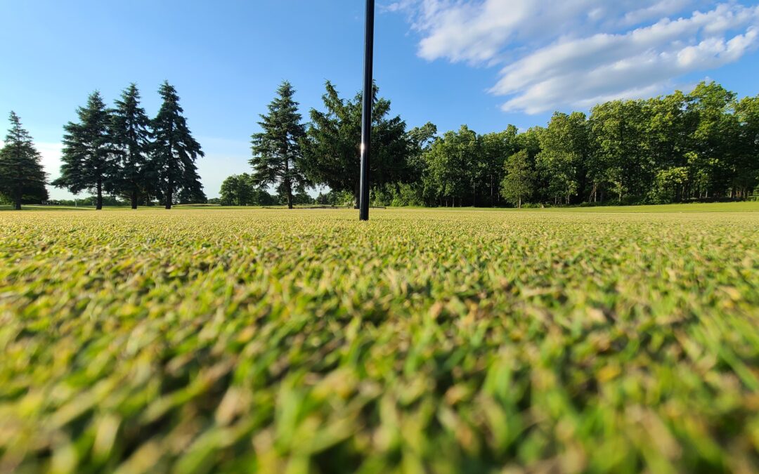 The Science of Putting: Deciphering Grain and Optimizing Performance at Livingston Country Club