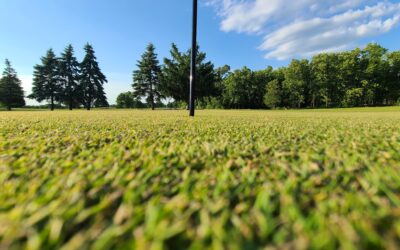 The Science of Putting: Deciphering Grain and Optimizing Performance at Livingston Country Club
