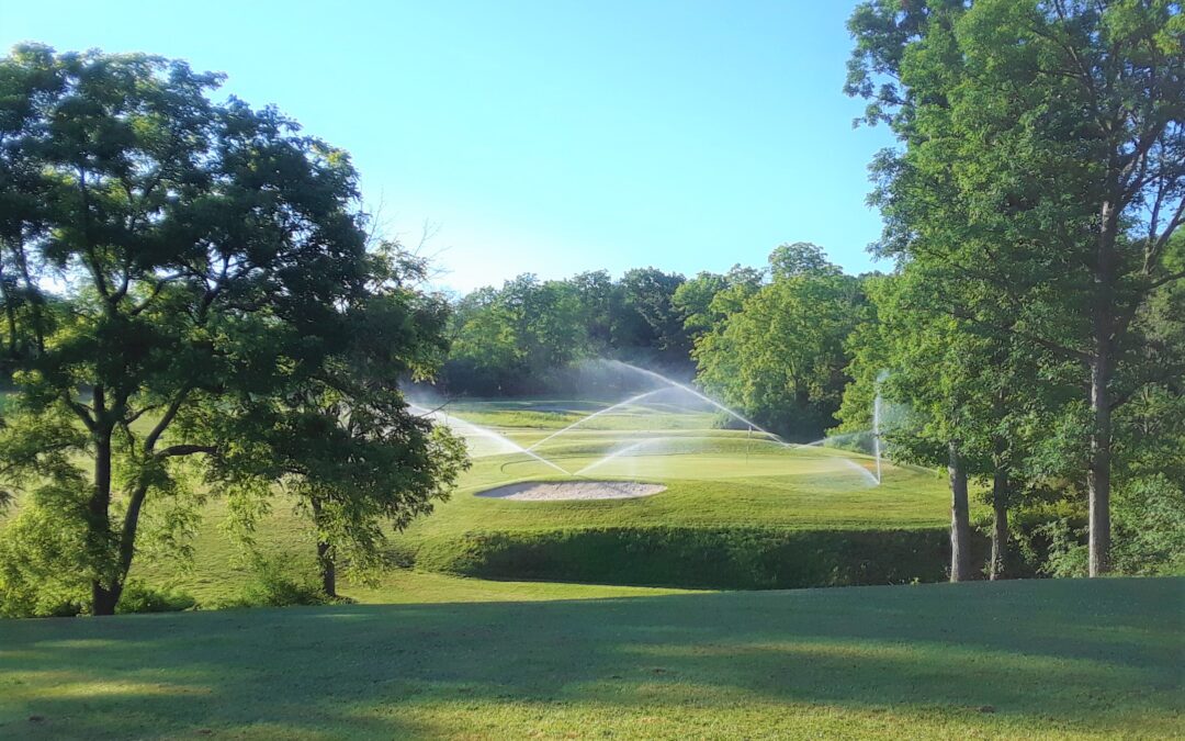 #11 with sprinklers