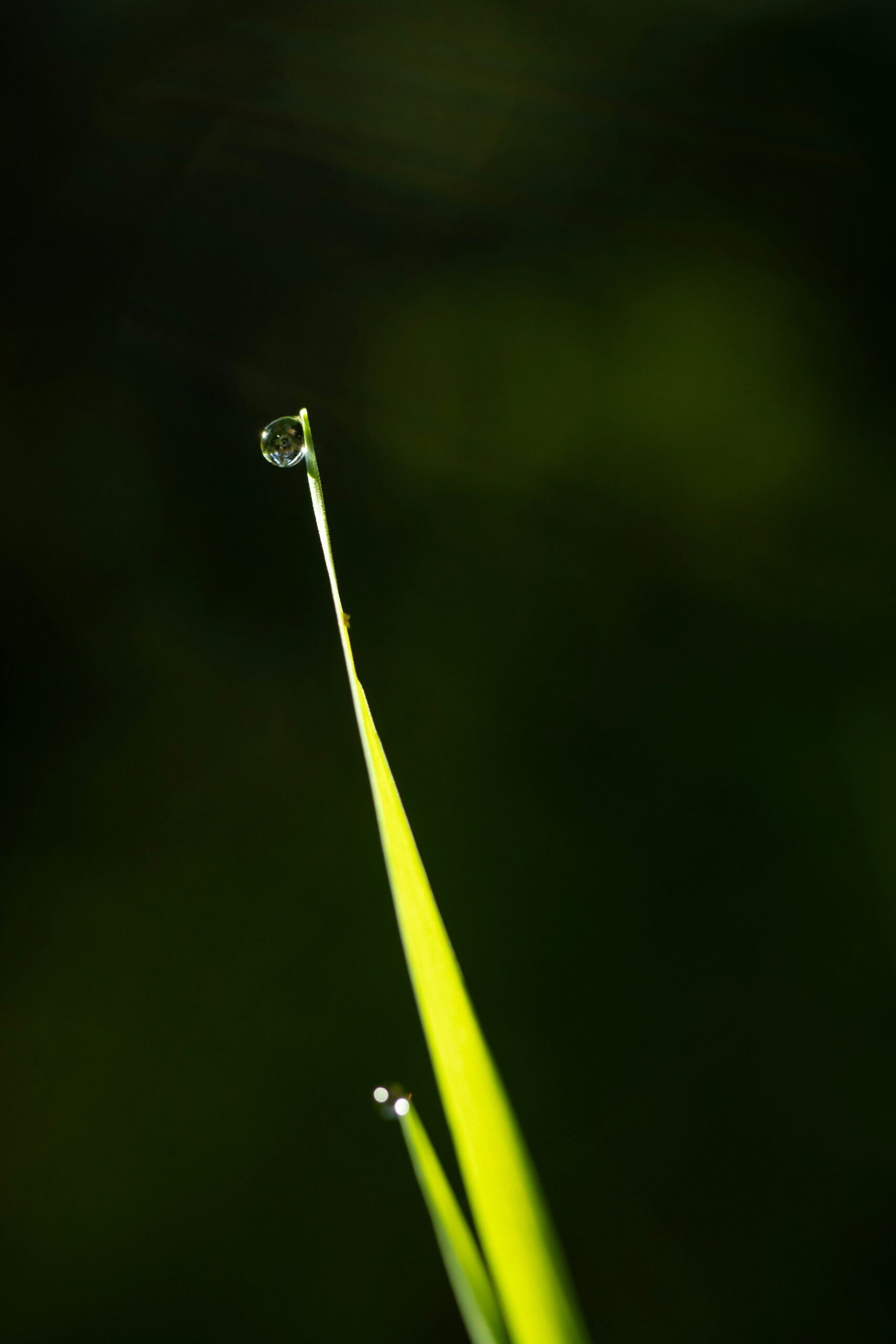 ivan diaz 4dtyb5 9S00 unsplash